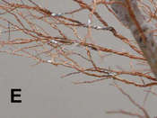 E-tree-solder-more-wires-cl