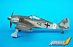 Has_Fw190F-1_08