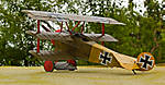 1/32  Fokker Dr.I Roden kit #601